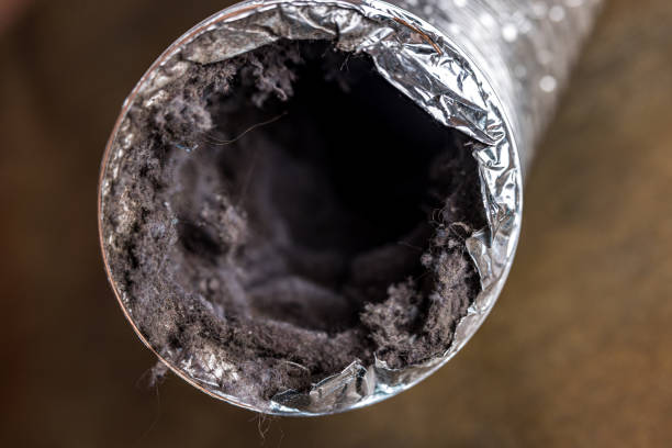 Best Professional Duct Cleaning Services  in Ballenger Creek, MD
